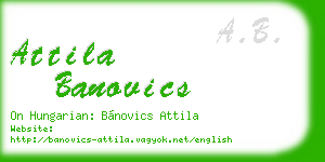 attila banovics business card